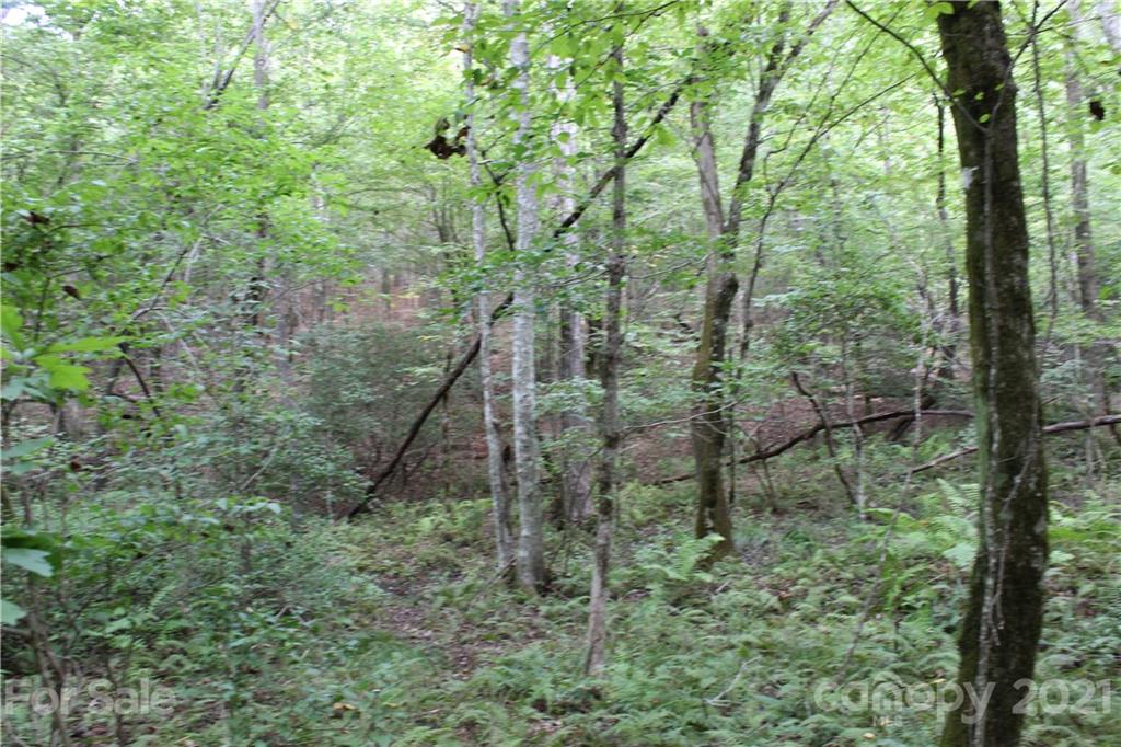 457 Kiser Road Bostic, NC 28018 - Photo 15 of 40 Gallery Image 15