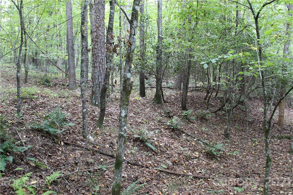 457 Kiser Road Bostic, NC 28018 - Photo 16 of 40 Gallery Image 16