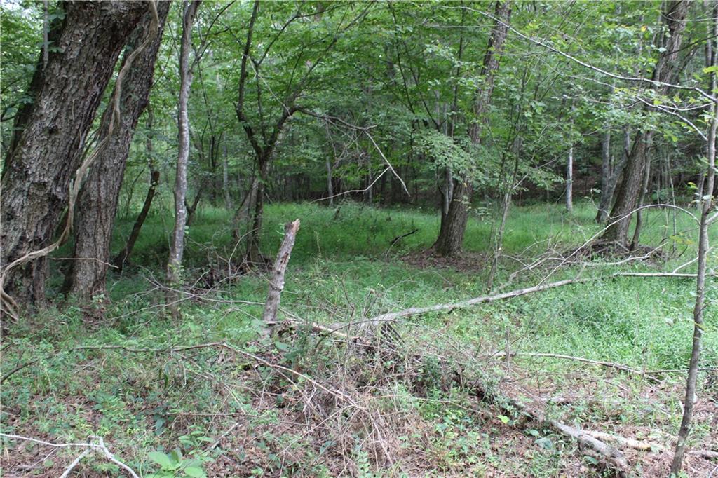 457 Kiser Road Bostic, NC 28018 - Photo 17 of 40 Gallery Image 17