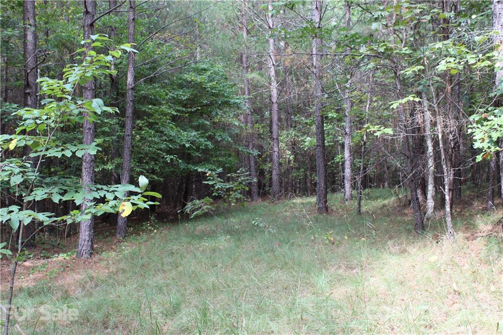 457 Kiser Road Bostic, NC 28018 - Photo 3 of 40 Gallery Image 3