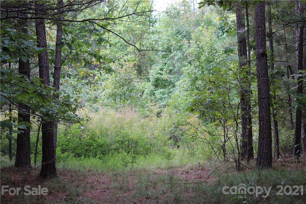 457 Kiser Road Bostic, NC 28018 - Photo 24 of 40 Gallery Image 24