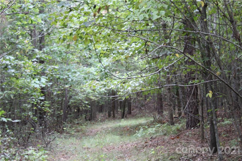 457 Kiser Road Bostic, NC 28018 - Photo 25 of 40 Gallery Image 25