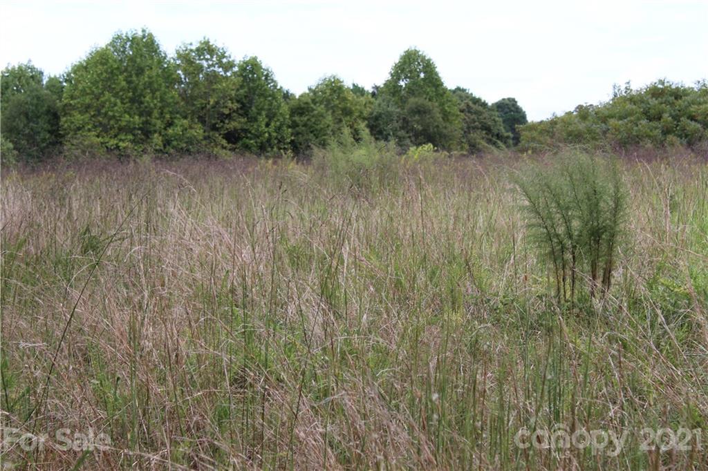 457 Kiser Road Bostic, NC 28018 - Photo 27 of 40 Gallery Image 27