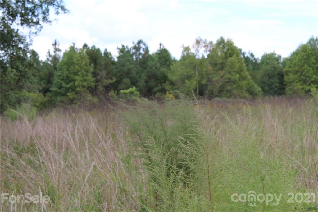 457 Kiser Road Bostic, NC 28018 - Photo 28 of 40 Gallery Image 28