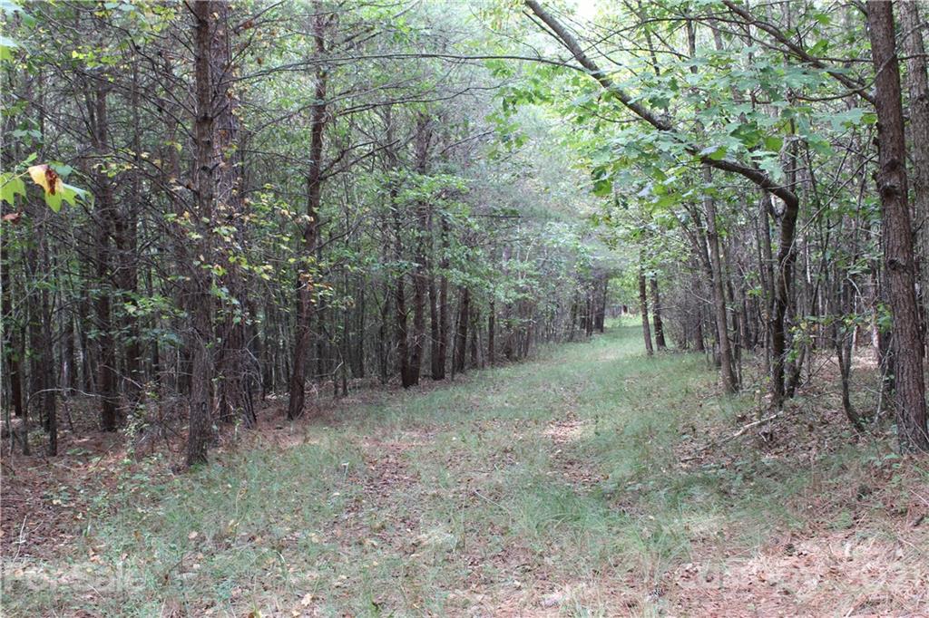 457 Kiser Road Bostic, NC 28018 - Photo 4 of 40 Gallery Image 4