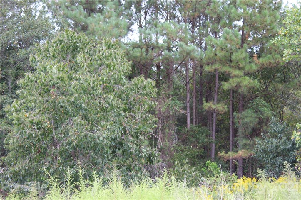 457 Kiser Road Bostic, NC 28018 - Photo 31 of 40 Gallery Image 31