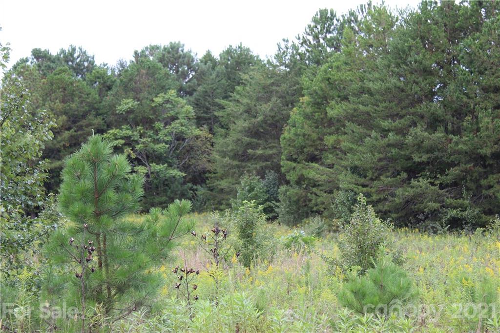 457 Kiser Road Bostic, NC 28018 - Photo 33 of 40 Gallery Image 33