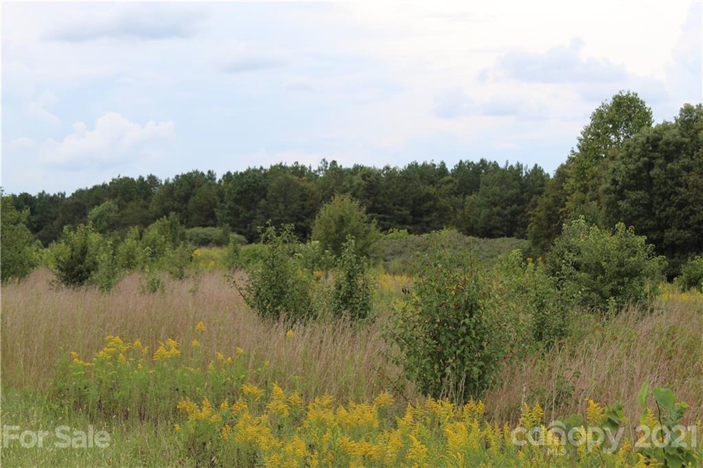 457 Kiser Road Bostic, NC 28018 - Photo 34 of 40 Gallery Image 34