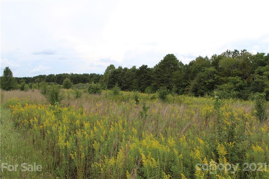 457 Kiser Road Bostic, NC 28018 - Photo 35 of 40 Gallery Image 35