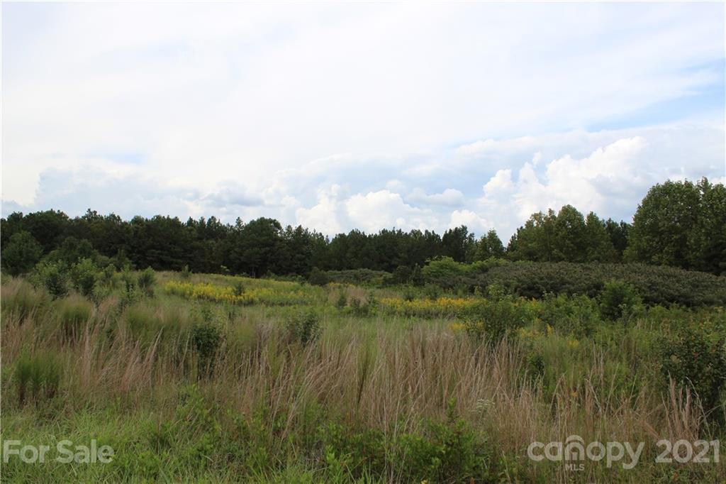 457 Kiser Road Bostic, NC 28018 - Photo 37 of 40 Gallery Image 37