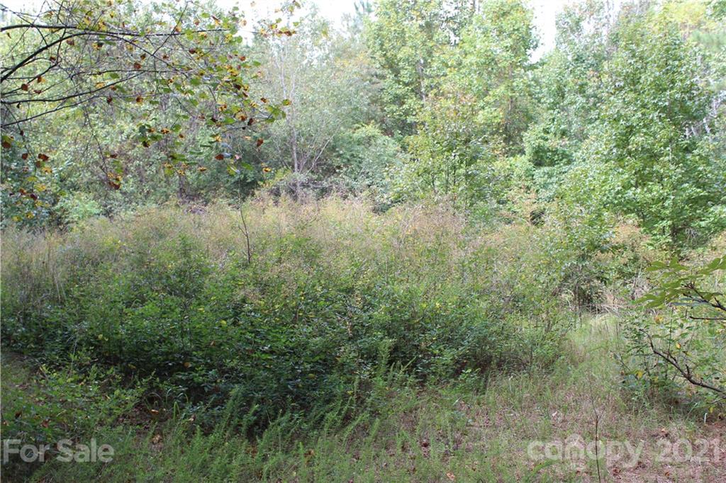 457 Kiser Road Bostic, NC 28018 - Photo 5 of 40 Gallery Image 5