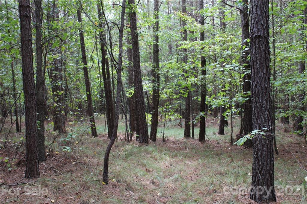 457 Kiser Road Bostic, NC 28018 - Photo 6 of 40 Gallery Image 6