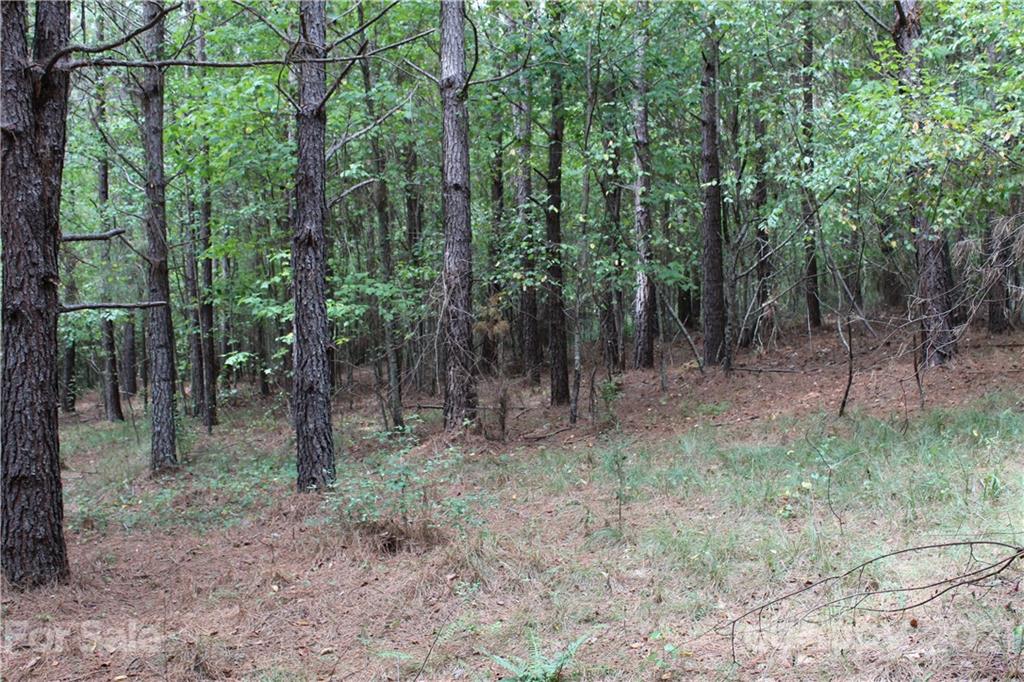 457 Kiser Road Bostic, NC 28018 - Photo 7 of 40 Gallery Image 7