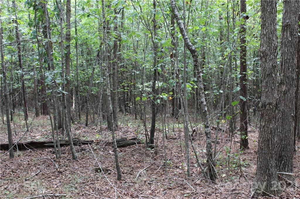 457 Kiser Road Bostic, NC 28018 - Photo 8 of 40 Gallery Image 8