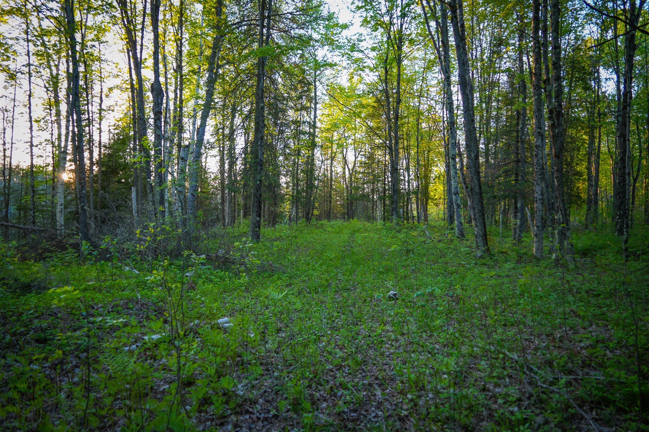 V/l V/l 33rd Road Gladstone, MI 49837 - Photo 63 of 70