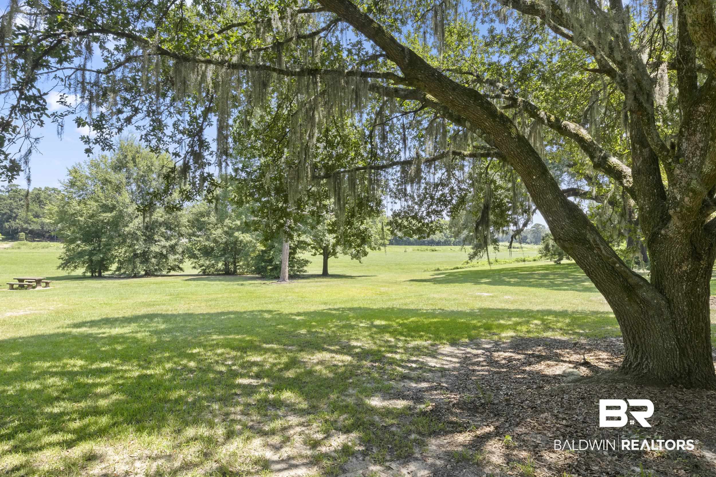 315 Park Avenue Mobile, AL 36607 - Photo 3 of 27 View of yard