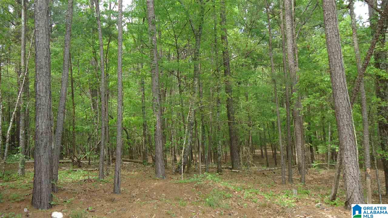 0 Mudd Street Ohatchee, AL 36271 - Photo 18 of 20