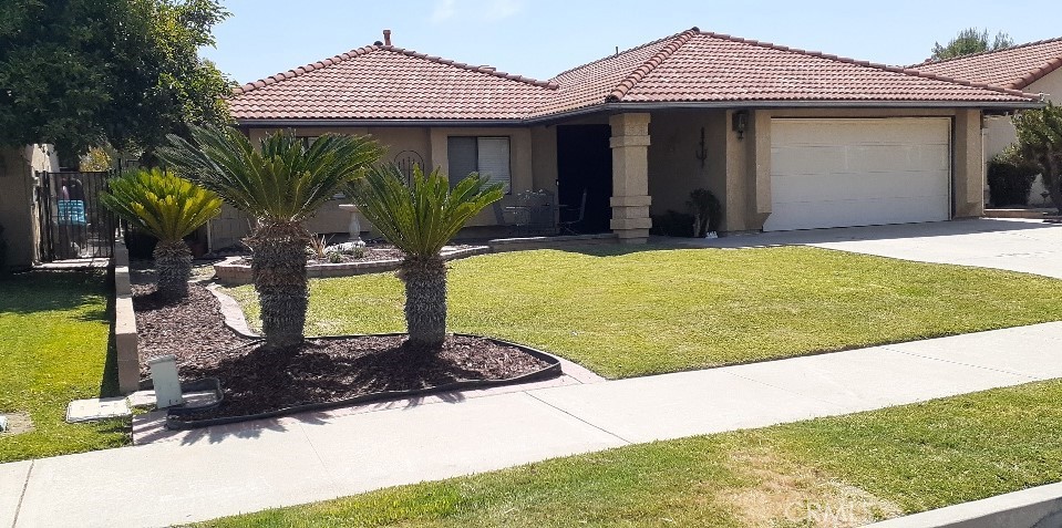 1484 Pepper Tree Drive Hemet, CA 92545 - Photo 1 of 29 Beautiful Mature Sago Palms