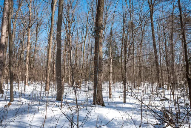 $315,000 | 0 County Road Ff, Merrill, WI 54452