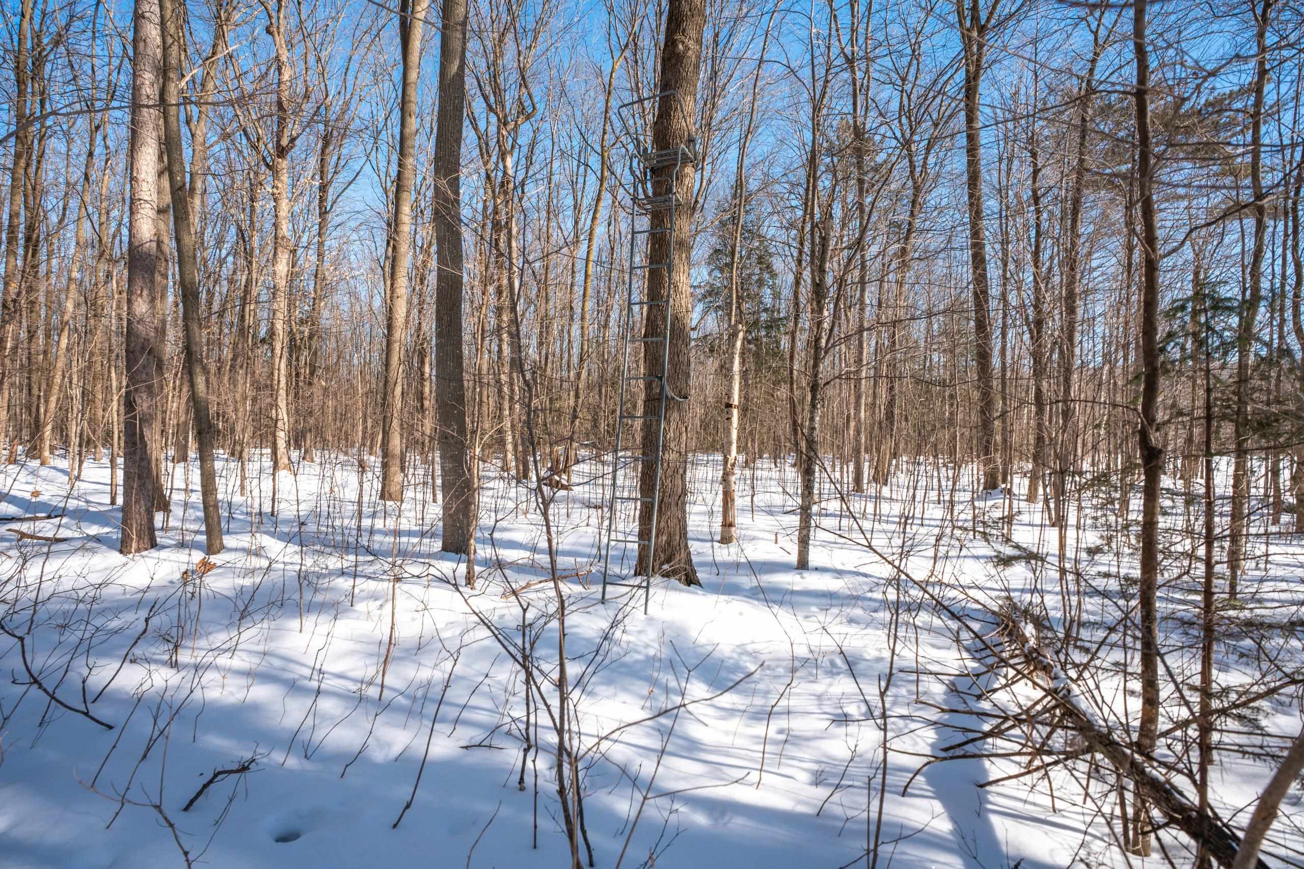 0 County Road Ff Merrill, WI 54452 - Photo 12 of 38