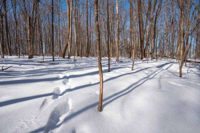 $315,000 | 0 County Road Ff, Merrill, WI 54452