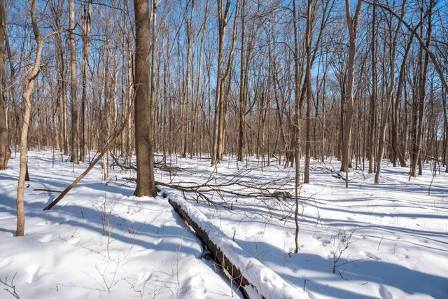 $315,000 | 0 County Road Ff, Merrill, WI 54452