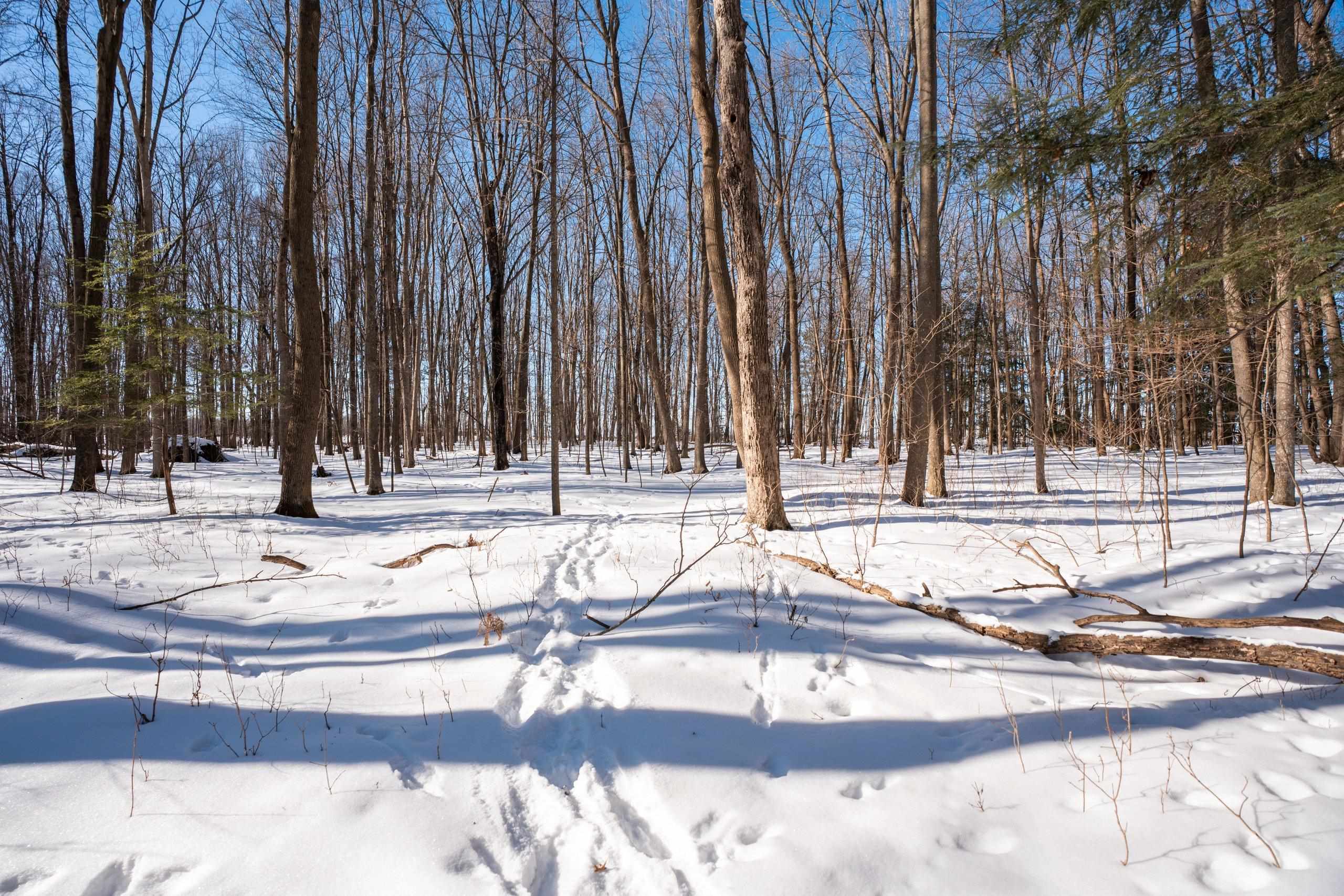 0 County Road Ff Merrill, WI 54452 - Photo 18 of 38