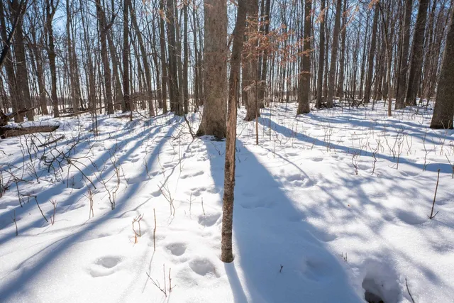 $315,000 | 0 County Road Ff, Merrill, WI 54452