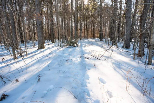 $315,000 | 0 County Road Ff, Merrill, WI 54452