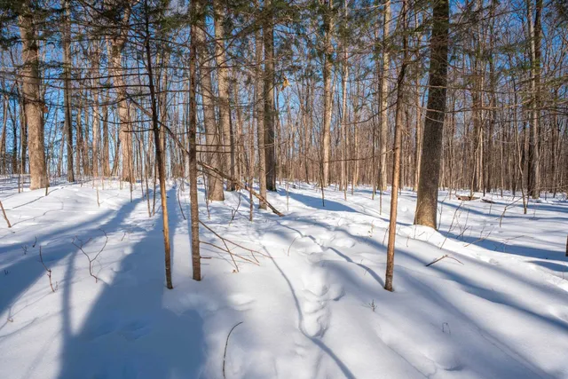 $315,000 | 0 County Road Ff, Merrill, WI 54452