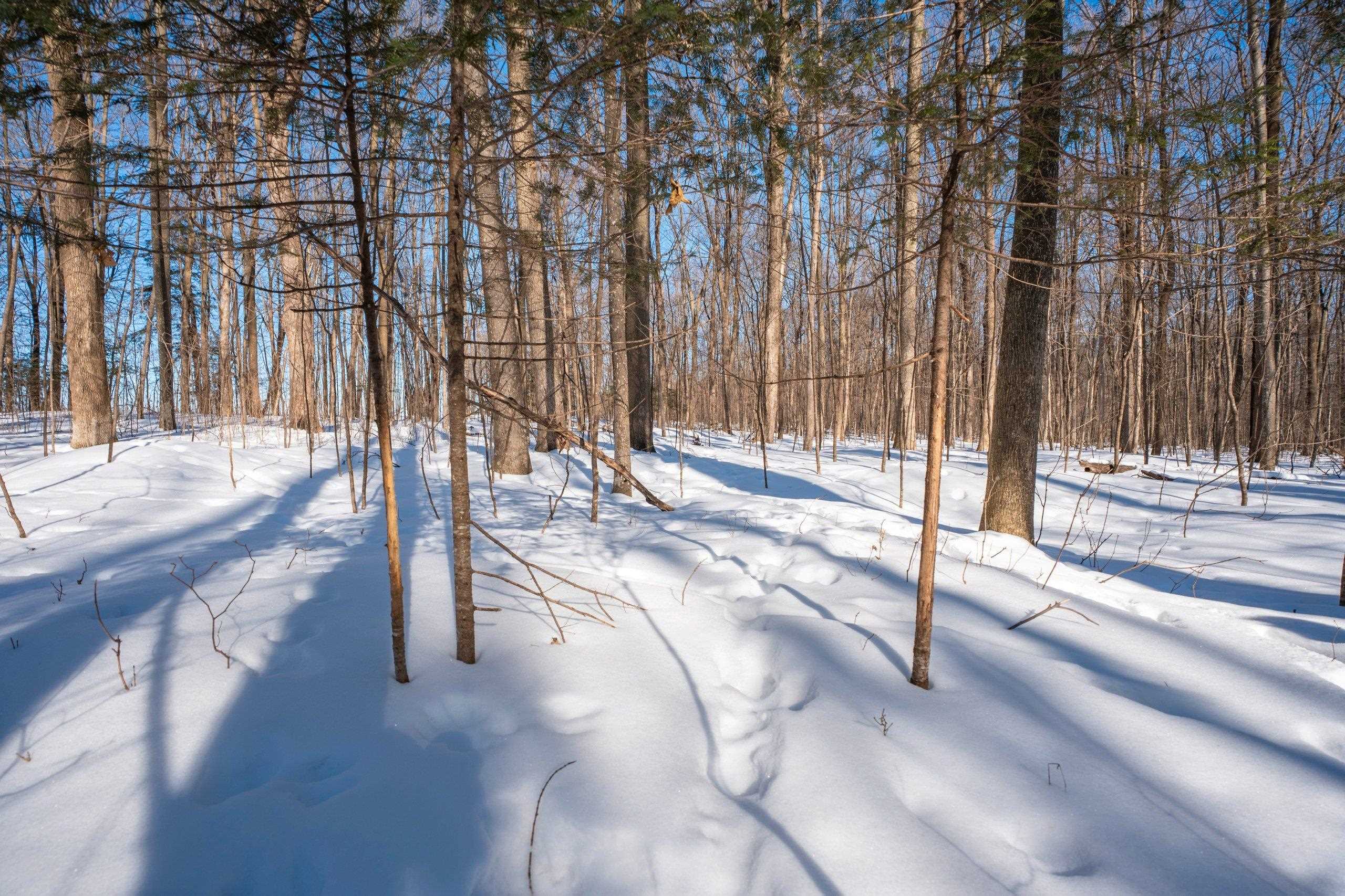 0 County Road Ff Merrill, WI 54452 - Photo 21 of 38