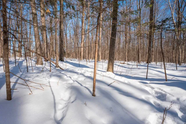 $315,000 | 0 County Road Ff, Merrill, WI 54452