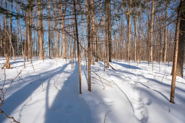 $315,000 | 0 County Road Ff, Merrill, WI 54452