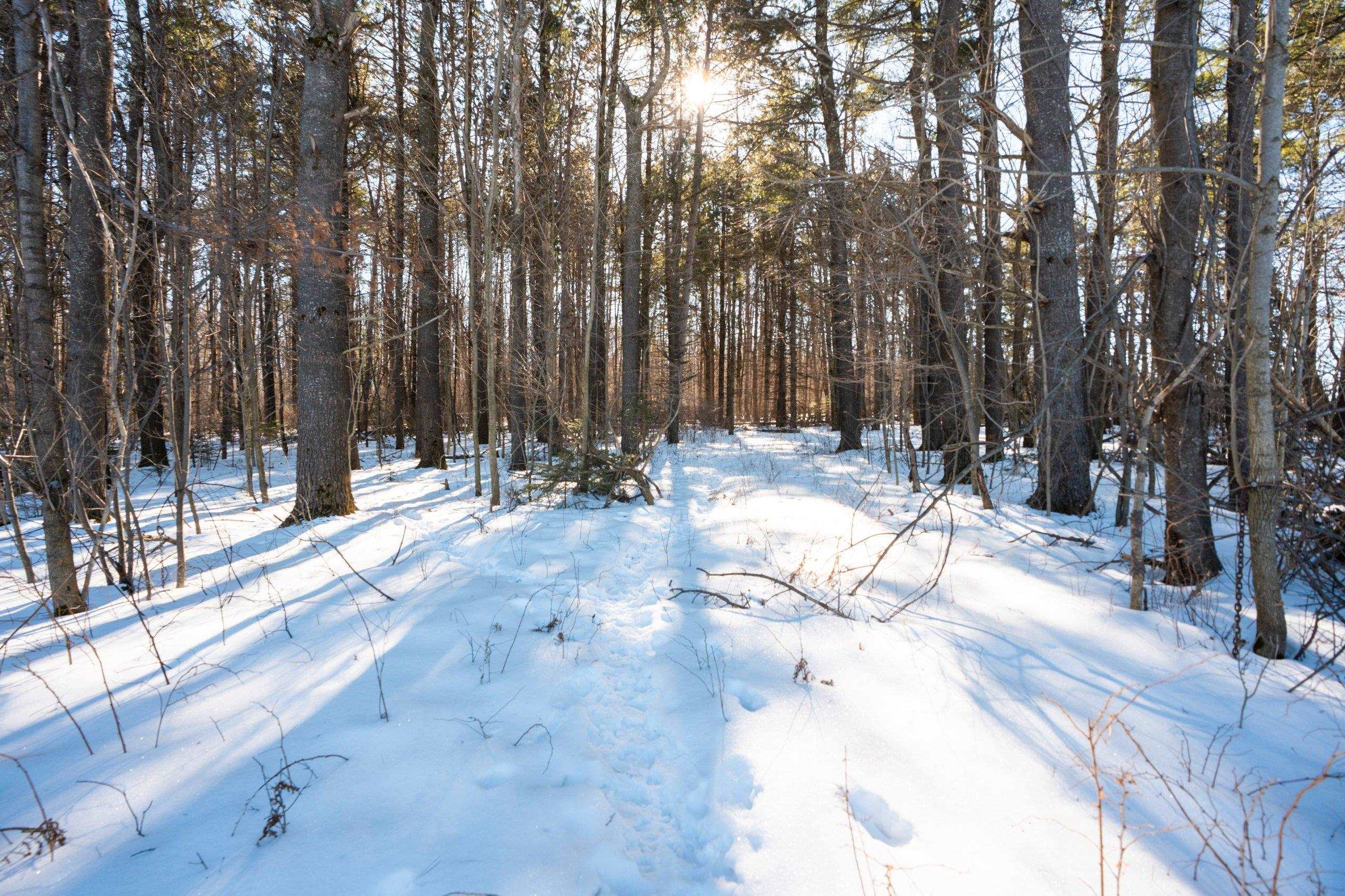 0 County Road Ff Merrill, WI 54452 - Photo 3 of 38
