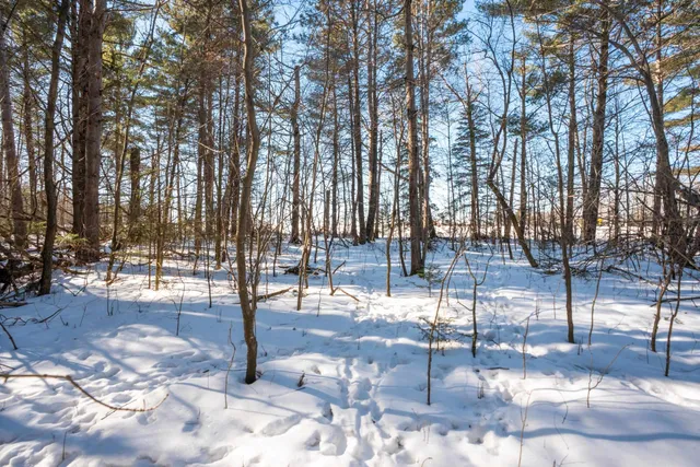 $315,000 | 0 County Road Ff, Merrill, WI 54452