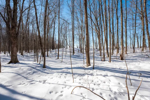 $315,000 | 0 County Road Ff, Merrill, WI 54452