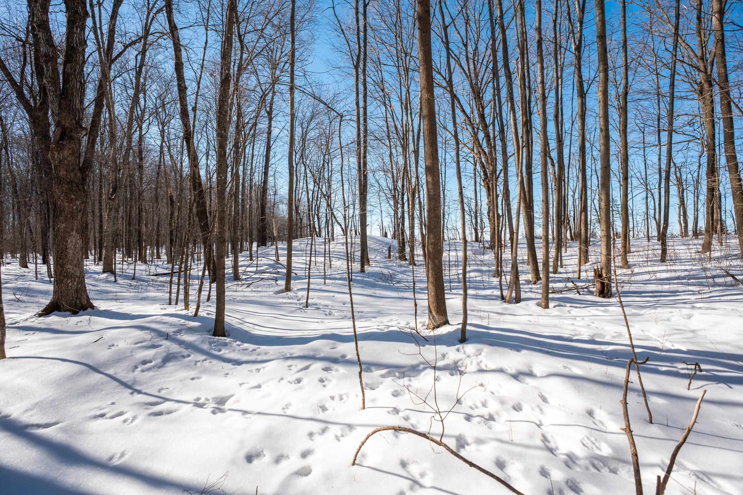 0 County Road Ff Merrill, WI 54452 - Photo 7 of 38