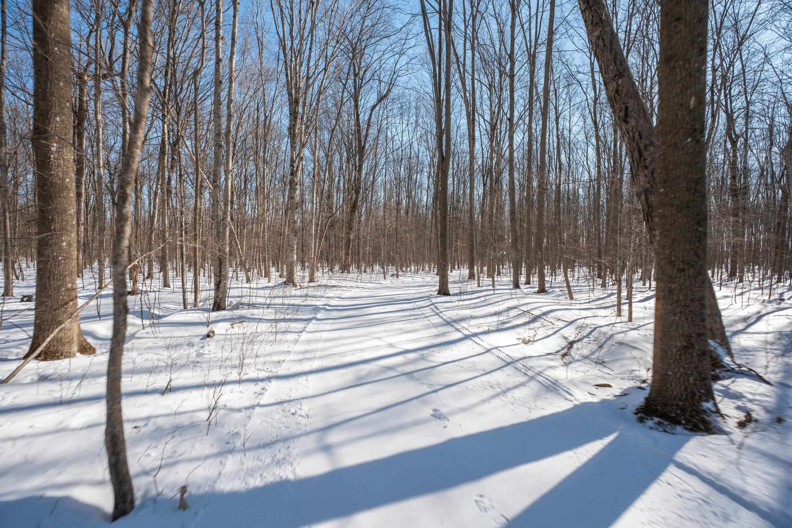 0 County Road Ff Merrill, WI 54452 - Photo 8 of 38