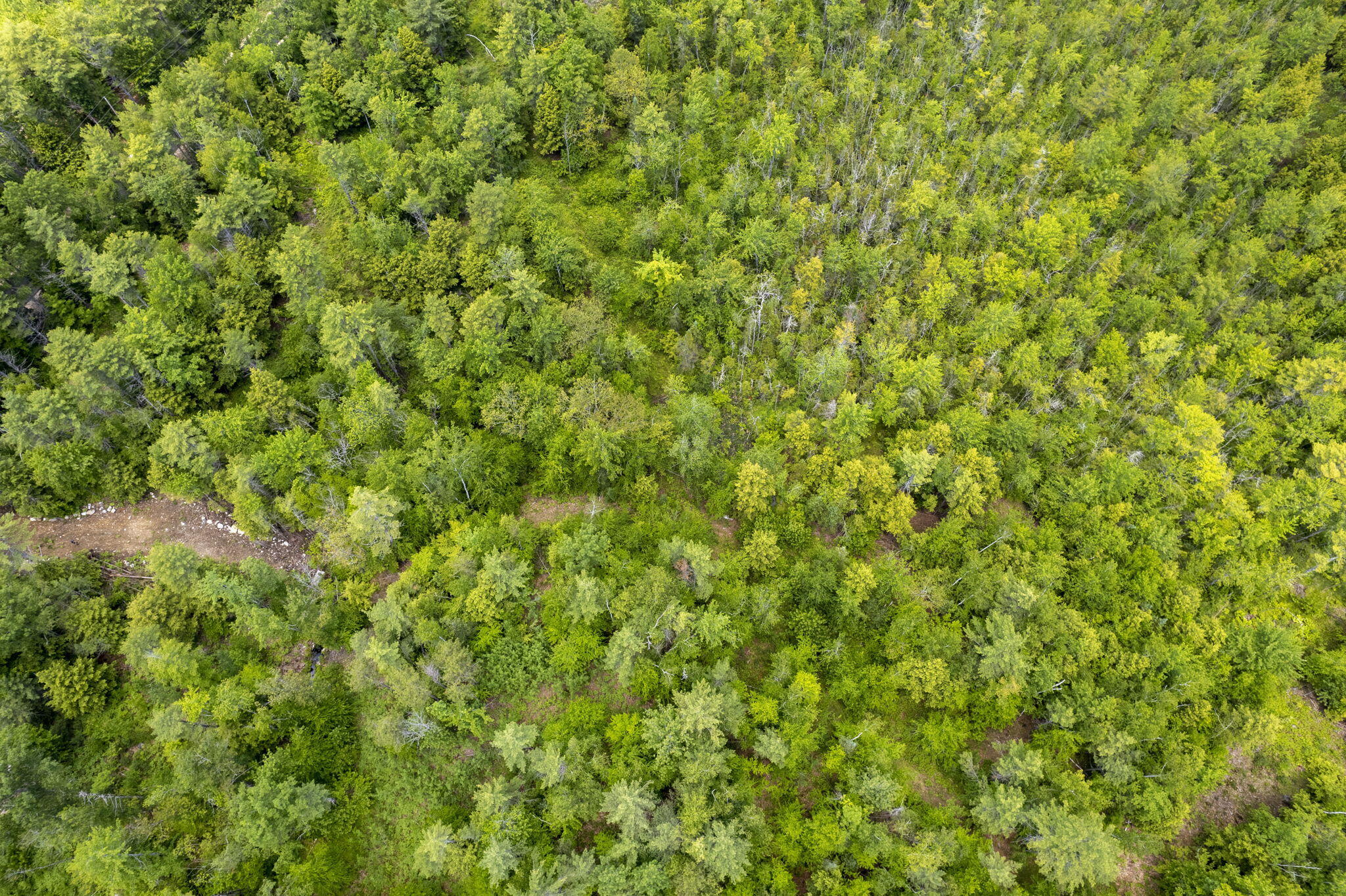 166 Libby Road Newfield, ME 04095 - Photo 9 of 19 8-web-or-mls-DJI_0351