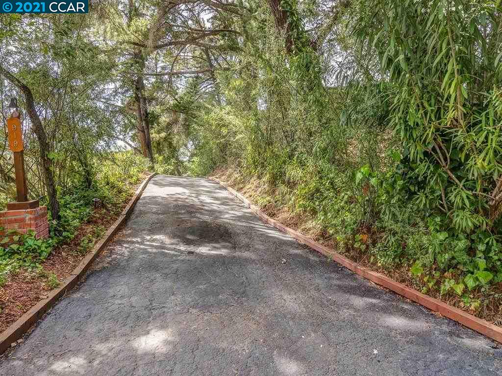 919 Janet Lane Lafayette, CA 94549 - Photo 29 of 31 a view of a yard with plants and trees