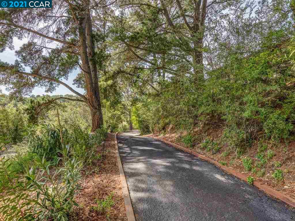 919 Janet Lane Lafayette, CA 94549 - Photo 30 of 31 a view of a yard with plants and trees