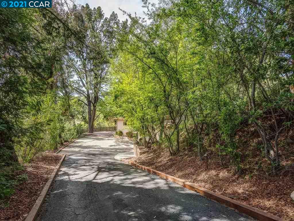 919 Janet Lane Lafayette, CA 94549 - Photo 3 of 31 a view of a yard with plants and trees