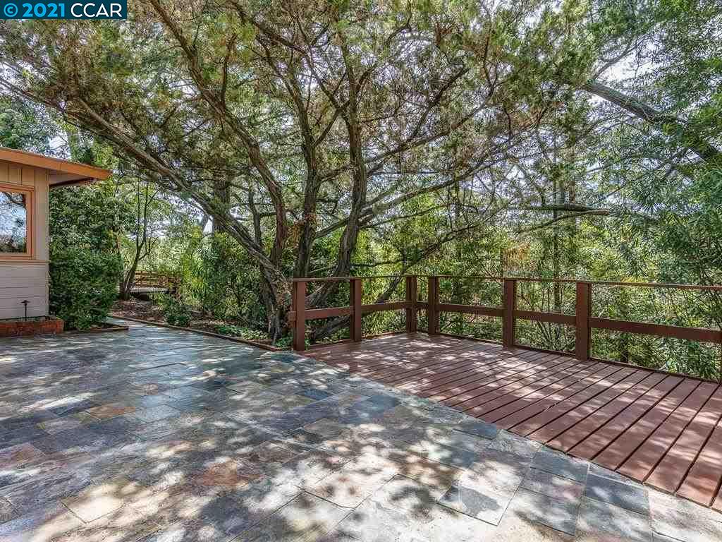 919 Janet Lane Lafayette, CA 94549 - Photo 6 of 31 a view of backyard with tree