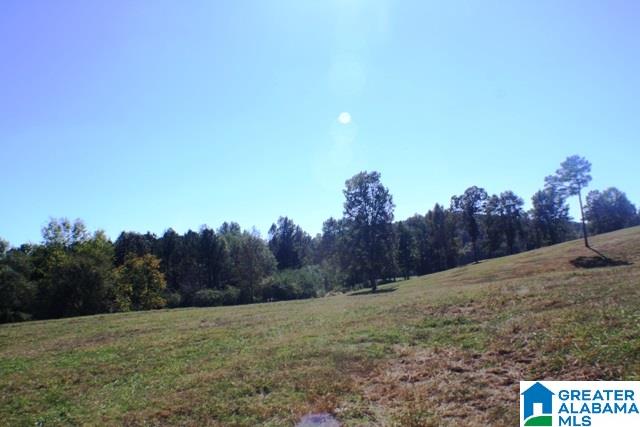 1785 Nunnally Lake Road Ohatchee, AL 36271 - Photo 38 of 50