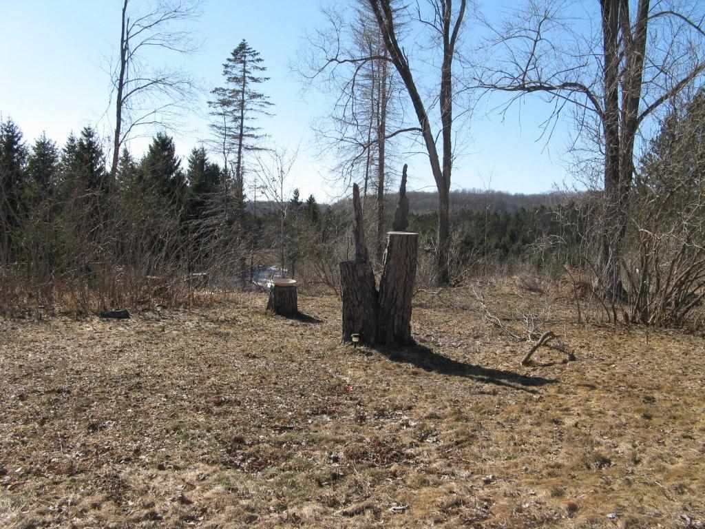 5584 West 12 Road Mesick, MI 49668 - Photo 41 of 73 1796970-46.JPG