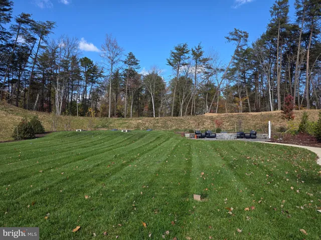 a big yard with lots of green space and trees