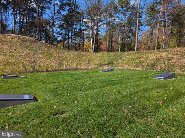 a view of a yard with large trees
