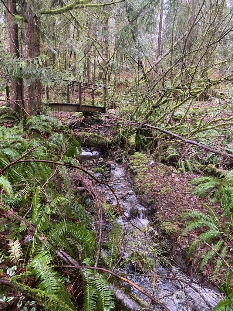 483 Summerland Road Bellingham, WA 98229 - Photo 28 of 40 Gallery Image 28