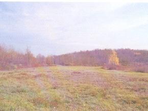 2 Spadenine Road Sugar Run, PA 18846 - Photo 2 of 2 Additional Photo