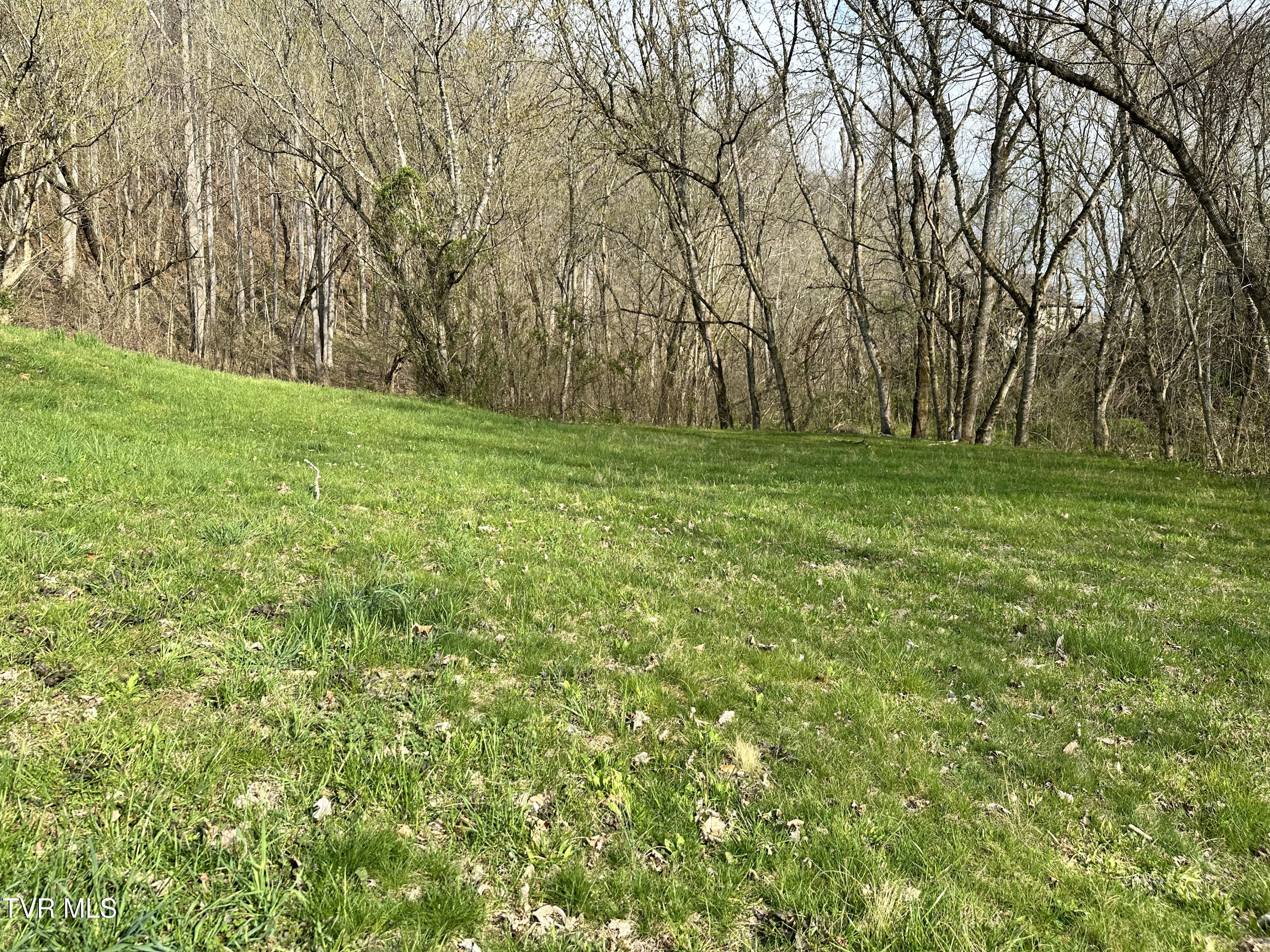 702 Speedwell Road Bulls Gap, TN 37711 - Photo 23 of 56 23 IMG_4858
